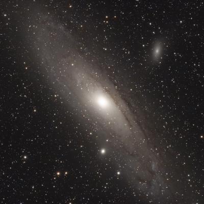 M31